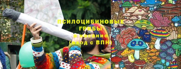 дурь Алзамай