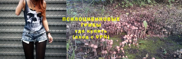 2c-b Михайловка