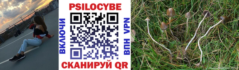 Галлюциногенные грибы Psilocybine cubensis  ОМГ ОМГ   Ардатов  что такое  